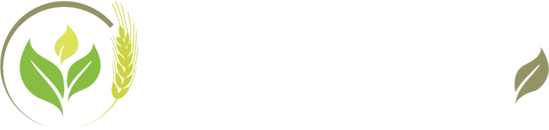 scentinor.com