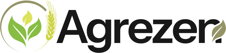 scentinor.com